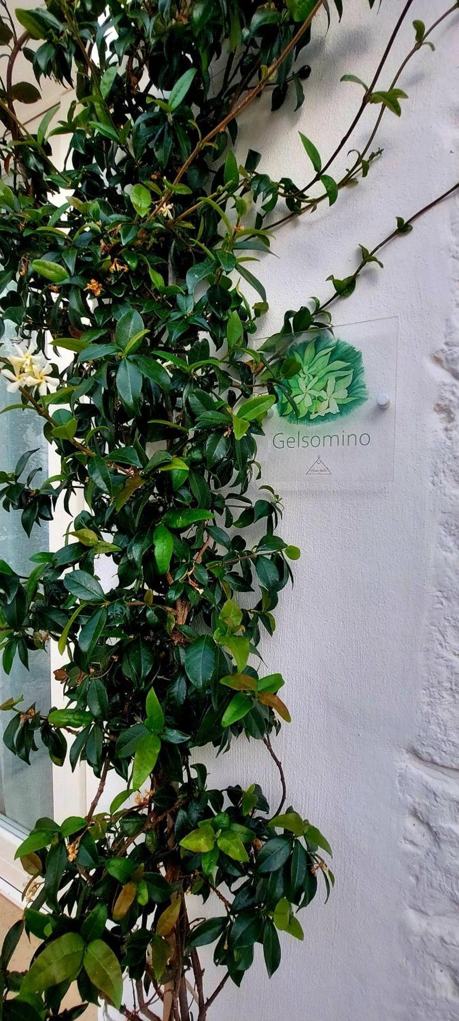 Mirum Apuliae Alberobello Extérieur photo